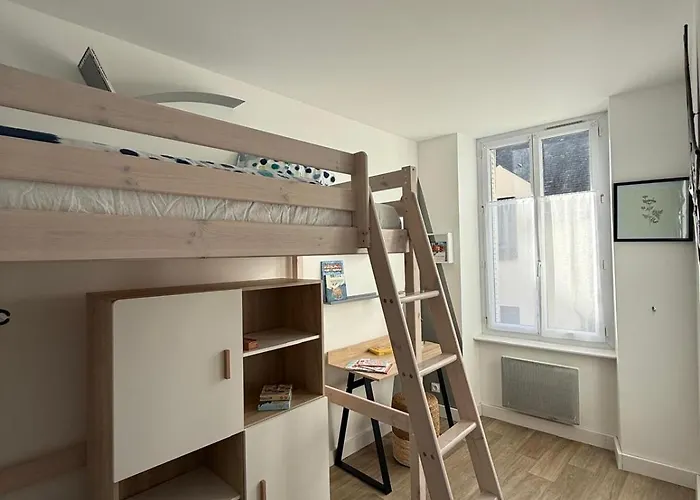 T3 Gare-visitation-chateau D'angers Апартаменты