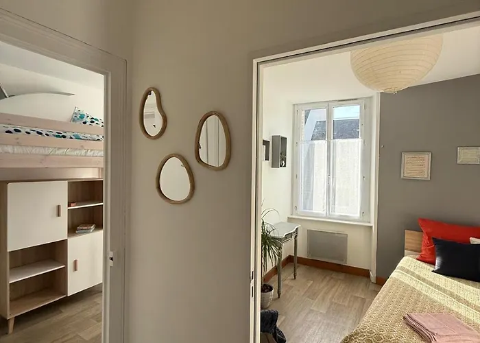 T3 Gare-visitation-chateau D'angers * Анже